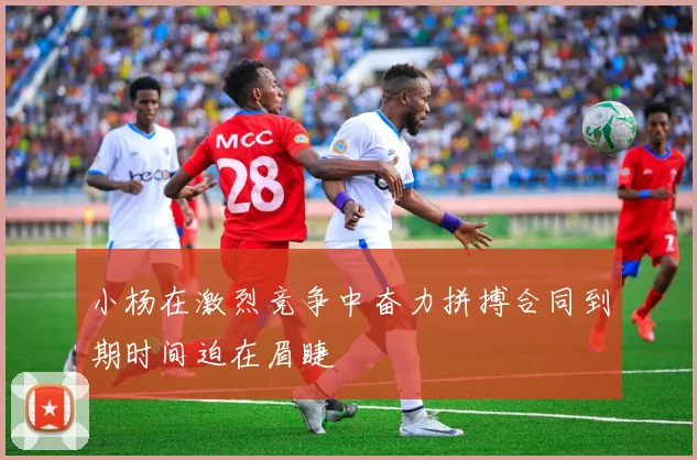 小杨在激烈竞争中奋力拼搏合同到期时间迫在眉睫